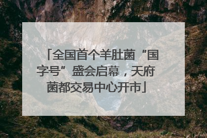 全国首个羊肚菌“国字号”盛会启幕，天府菌都交易中心开市