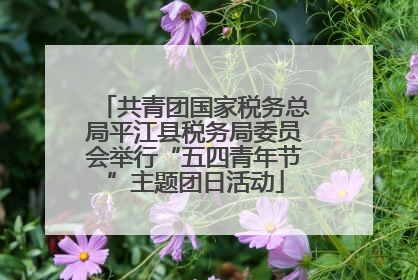 共青团国家税务总局平江县税务局委员会举行“五四青年节”主题团日活动