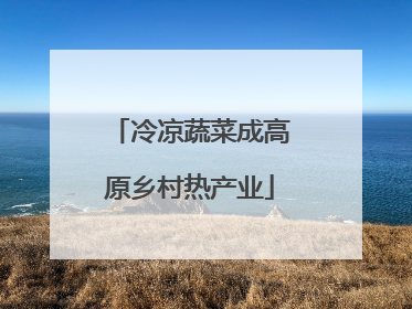 冷凉蔬菜成高原乡村热产业