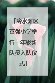 冷水滩区富强小学举行一年级新队员入队仪式