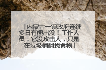 内蒙古一镇政府连续多日有熊出没！工作人员：它没攻击人，只是在垃圾桶翻找食物