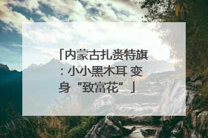 内蒙古扎赉特旗：小小黑木耳 变身“致富花”