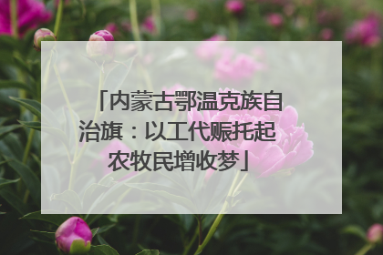 内蒙古鄂温克族自治旗：以工代赈托起农牧民增收梦