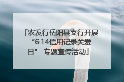 农发行岳阳县支行开展“6·14信用记录关爱日” 专题宣传活动
