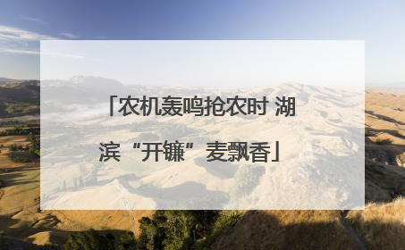农机轰鸣抢农时 湖滨“开镰”麦飘香