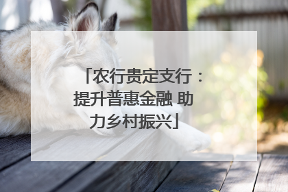 农行贵定支行：提升普惠金融 助力乡村振兴