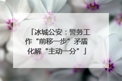 冰城公安：警务工作“前移一步”矛盾化解“主动一分”