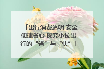 出行消费透明 安全便捷省心 探究小拉出行的“省”与“快”