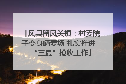 凤县留凤关镇：村委院子变身晒麦场 扎实推进“三夏”抢收工作
