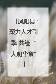 凤阳县：聚力人才引擎 共绘“大明华章”