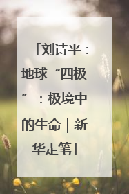 刘诗平：地球“四极”：极境中的生命｜新华走笔