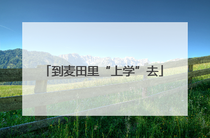 到麦田里“上学”去