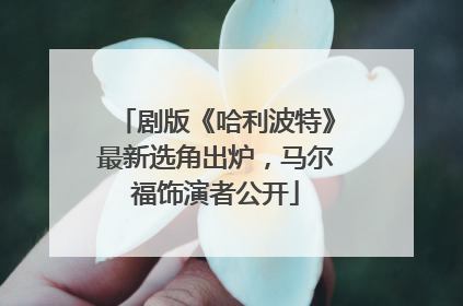 剧版《哈利波特》最新选角出炉，马尔福饰演者公开