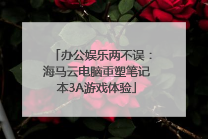 办公娱乐两不误：海马云电脑重塑笔记本3A游戏体验