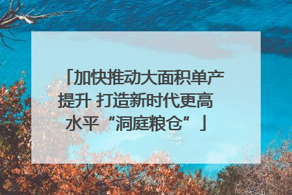 加快推动大面积单产提升 打造新时代更高水平“洞庭粮仓”