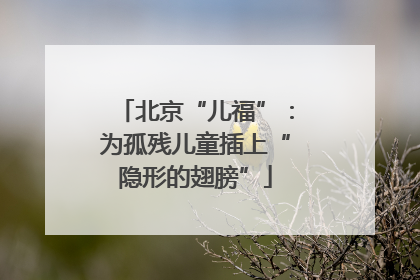 北京“儿福”：为孤残儿童插上“隐形的翅膀”