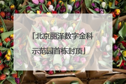 北京丽泽数字金科示范园首栋封顶