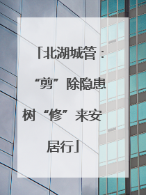 北湖城管：“剪”除隐患树“修”来安居行