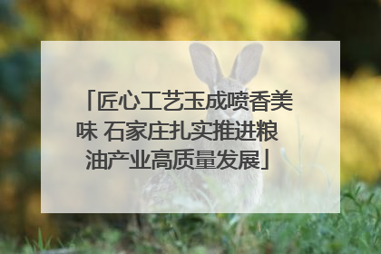 匠心工艺玉成喷香美味 石家庄扎实推进粮油产业高质量发展