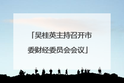 吴桂英主持召开市委财经委员会会议