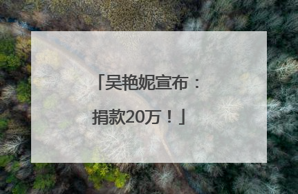 吴艳妮宣布：捐款20万！