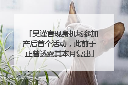 吴谨言现身机场参加产后首个活动，此前于正曾透露其本月复出