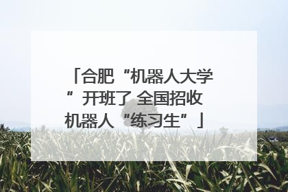 合肥“机器人大学”开班了 全国招收机器人“练习生”
