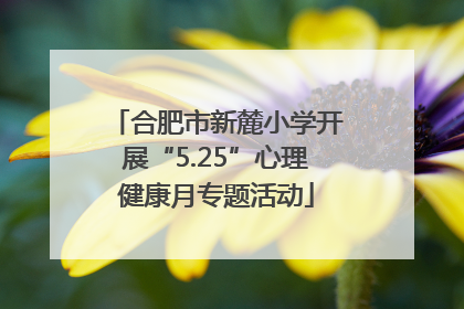 合肥市新麓小学开展“5.25”心理健康月专题活动