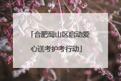 合肥蜀山区启动爱心送考护考行动