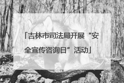 吉林市司法局开展“安全宣传咨询日”活动