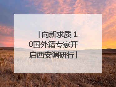向新求质 10国外籍专家开启西安调研行