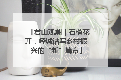 君山观潮｜石榴花开，峄城谱写乡村振兴的“新”篇章