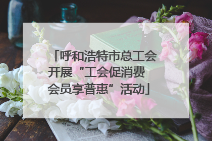 呼和浩特市总工会开展“工会促消费 会员享普惠”活动