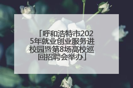 呼和浩特市2025年就业创业服务进校园暨第8场高校巡回招聘会举办