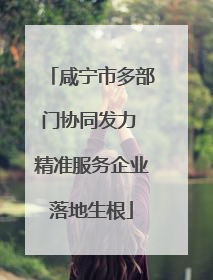 咸宁市多部门协同发力 精准服务企业落地生根