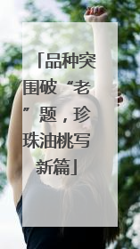 品种突围破“老”题，珍珠油桃写新篇