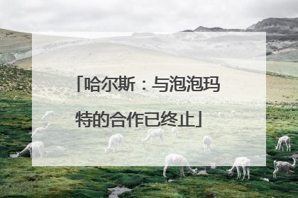哈尔斯：与泡泡玛特的合作已终止