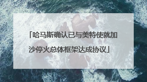哈马斯确认已与美特使就加沙停火总体框架达成协议