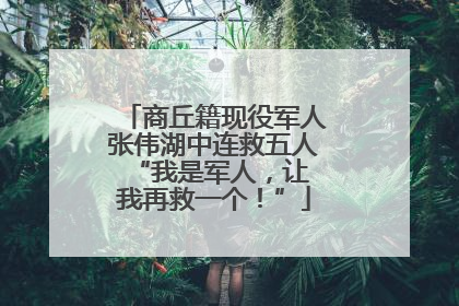 商丘籍现役军人张伟湖中连救五人 “我是军人，让我再救一个！”