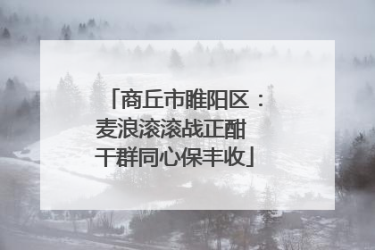 商丘市睢阳区：麦浪滚滚战正酣 干群同心保丰收