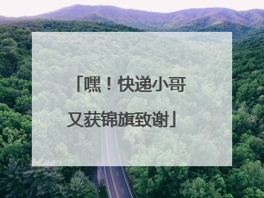 嘿！快递小哥又获锦旗致谢