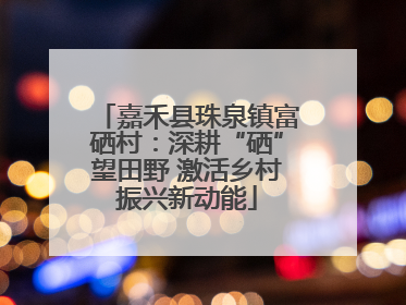 嘉禾县珠泉镇富硒村：深耕“硒”望田野 激活乡村振兴新动能