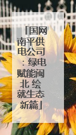 国网南平供电公司：绿电赋能闽北 绘就生态新篇