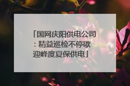 国网庆阳供电公司：精益巡检不停歇 迎峰度夏保供电