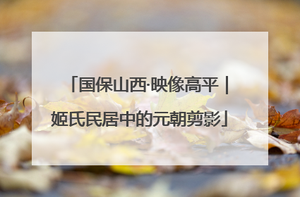 国保山西·映像高平｜姬氏民居中的元朝剪影