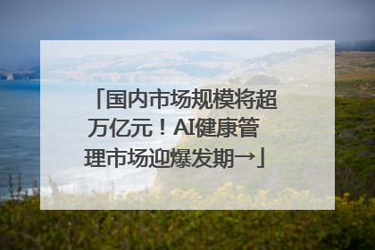 国内市场规模将超万亿元！AI健康管理市场迎爆发期→