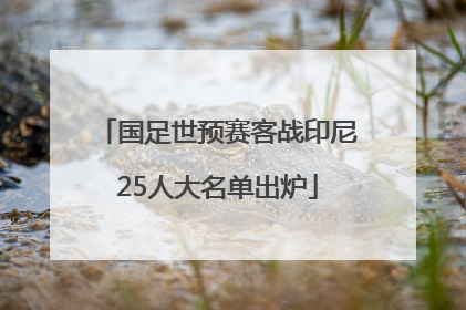 国足世预赛客战印尼25人大名单出炉