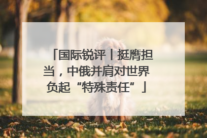 国际锐评丨挺膺担当，中俄并肩对世界负起“特殊责任”