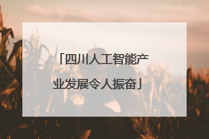 四川人工智能产业发展令人振奋