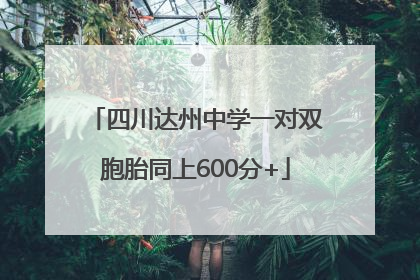 四川达州中学一对双胞胎同上600分+